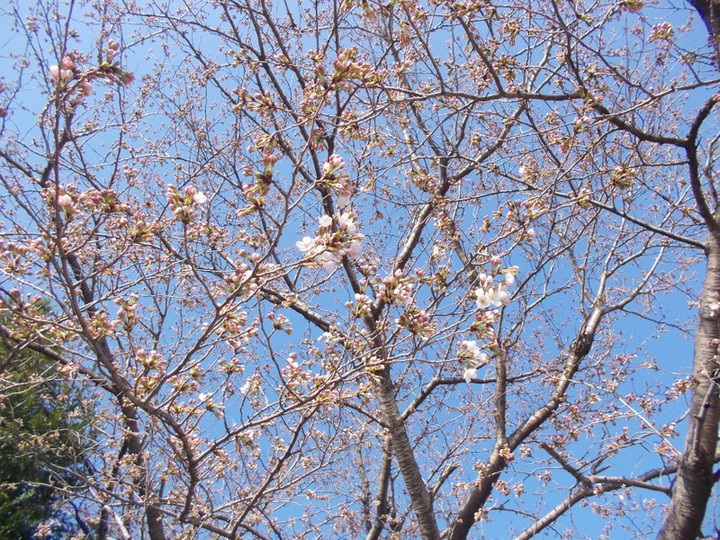 Dscn0388
