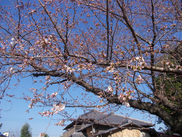 Dscn0390