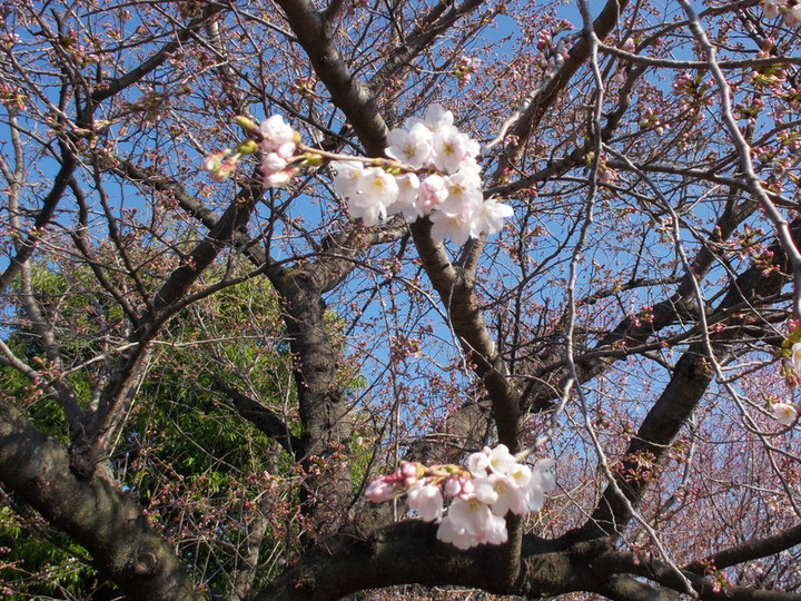 Dscn0392