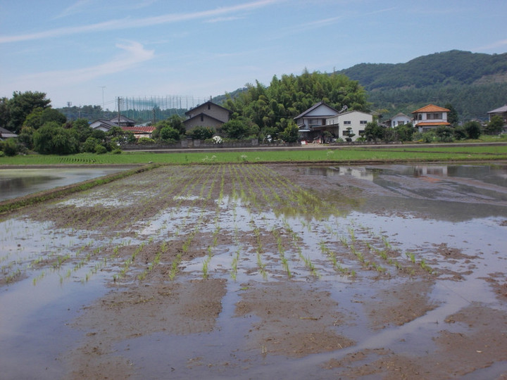 Dscn0032
