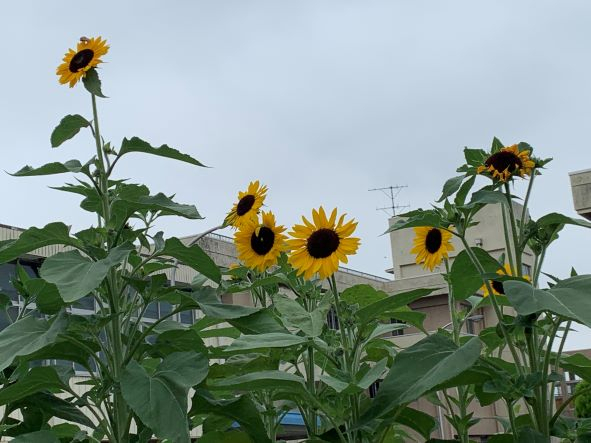 Img_3465 Img_3465