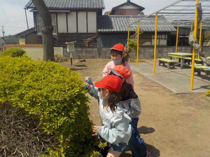 Dscn87543
