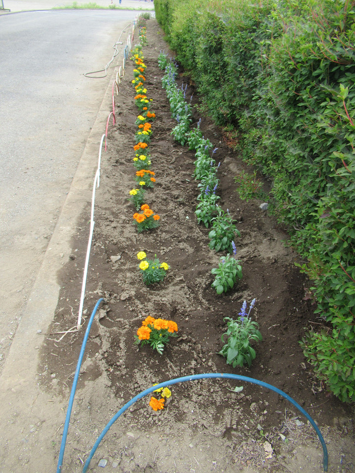 Photo_3