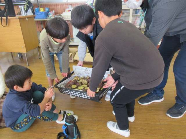 Photo_2